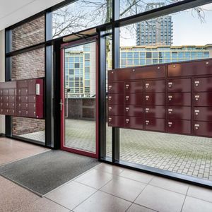 Lichtstraat - Foto 2