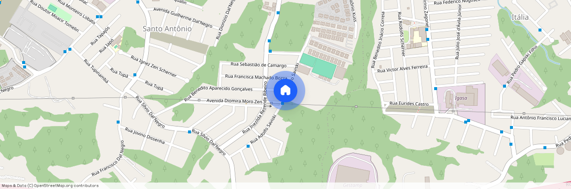 Santo Antônio, São José dos Pinhais, PR, 83025640