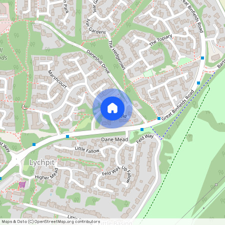 Poppy Field, Lychpit, Basingstoke, RG24