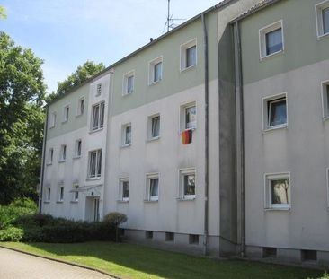 Gelegenheit: ansprechende 3-Zimmer-Wohnung - Foto 1