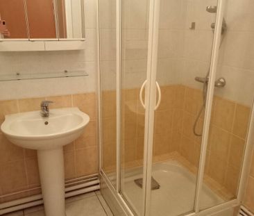 Location appartement 1 pièce 32.8 m² à Mâcon (71000) TRES CALME CEN... - Photo 6