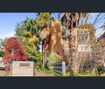 Light Filled One Bedroom Apartment in a Quiet Street - Photo 2