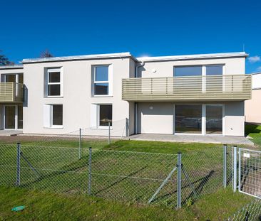 HOLLABRUNN XXVI/1 - Photo 6