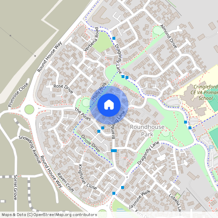 Dunlin Drive, Cringleford NR4