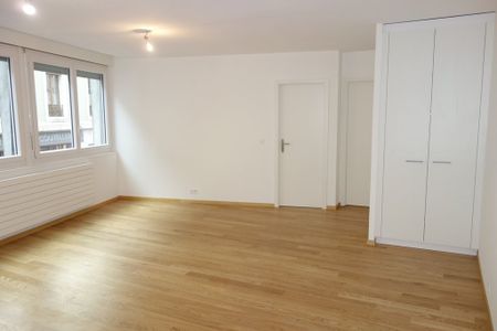 Plaine de Plainpalais - Foto 3