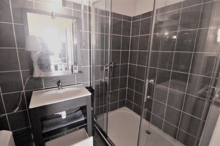Location Appartement 1 pièce 28m² NEVERS 58000 - Photo 3