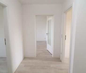 Im Flemminggebiet daheim... Halbes Jahr-halbe (Kalt) Miete - Foto 1