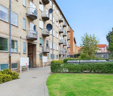 Afd. 10 Højgården - Photo 4