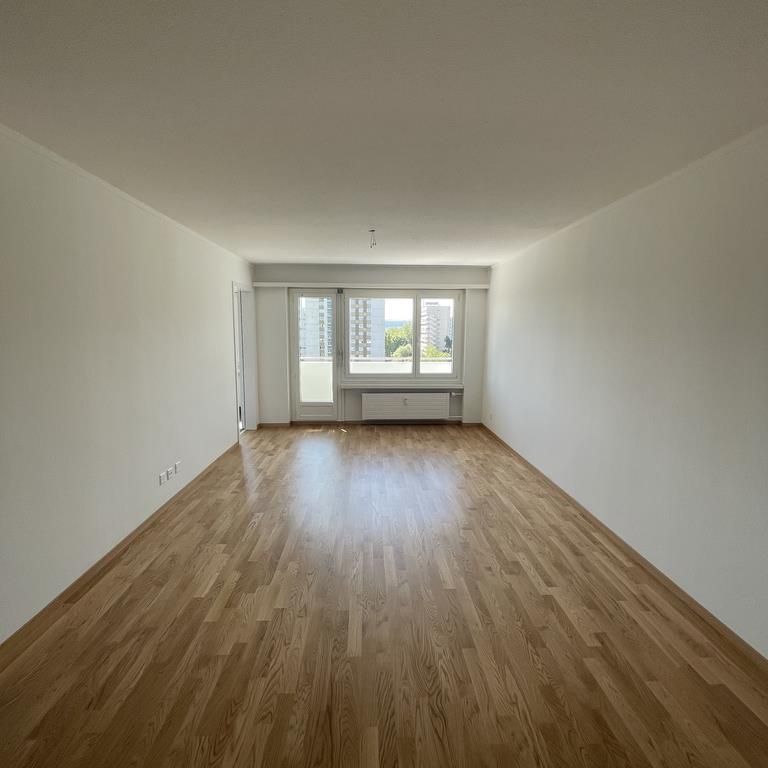 Gemütliche 4.5 Zimmer Wohnung im 10. OG in Spreitenbach - Foto 1
