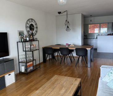 31/2 ROOM APARTMENT IN BONSTETTEN (ZH), FURNISHED, TEMPORARY - Foto 2