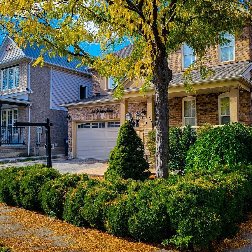 For Lease - 14 White Road Unit# bsmnt, Brampton, Ontario - Photo 1