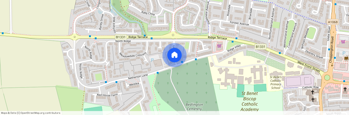 Link Avenue, Bedlington, Bedlington, Northumberland, NE22 6DN