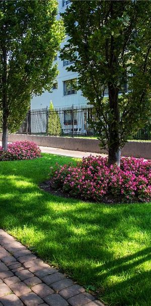 Castellana - Photo 1