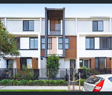 Spacious Family Terrace Moments from Botany Village - Photo 5