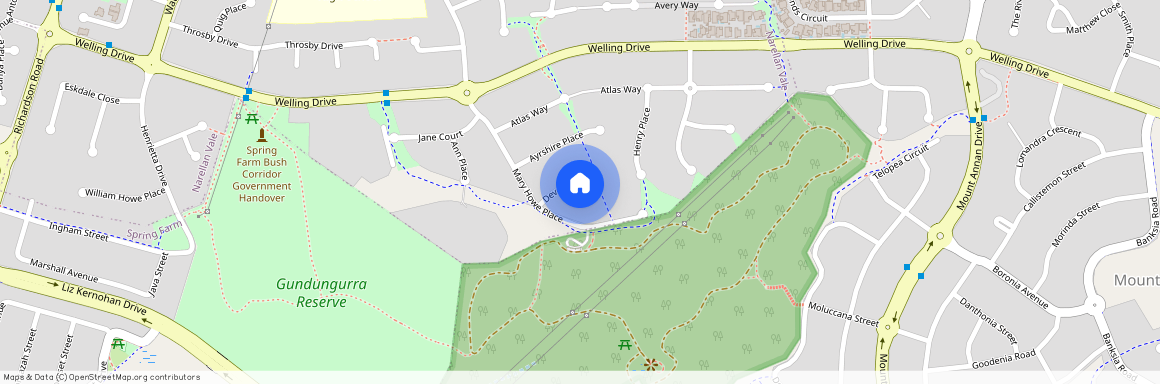 8 Devon Place, NSW 2567, Narellan Vale