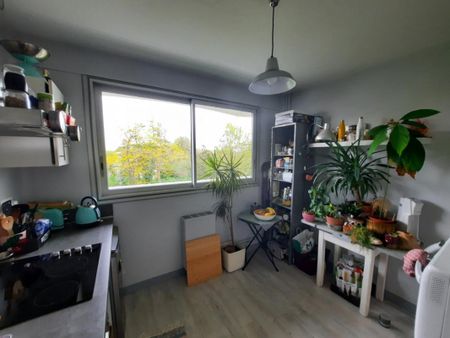 Appartement T2 à louer - 56 m² - Photo 4