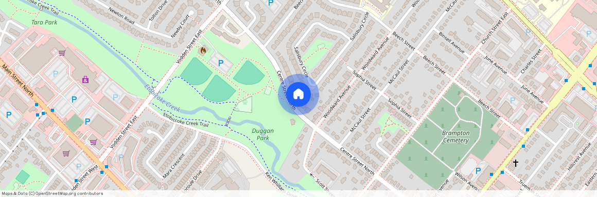 98 Centre Street Unit# Basement, Brampton