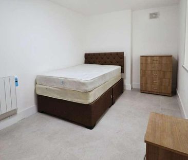 Richmond Road, Cathays, Cardiff, CF24 - Photo 3