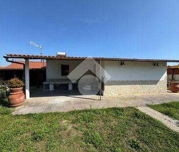 Trilocale in affitto - Photo 4