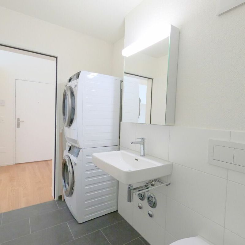 Appartement de 3,5 pièces lumineux, calme et spacieux avec de bonnes liaisons CFF dans toutes les directions - Foto 1