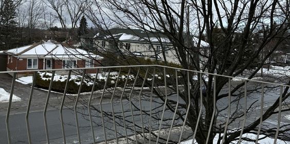 41/2 Central - Photo 3