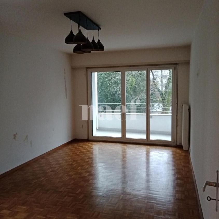2.5 Zimmer, 62 m², 1. Stock - Foto 1