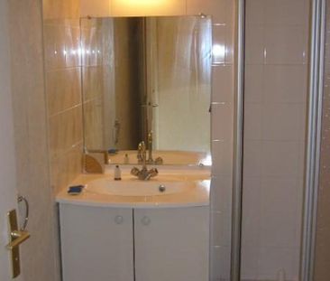 Appartement à louer, 1 pièce - Angers 49000 - Photo 2