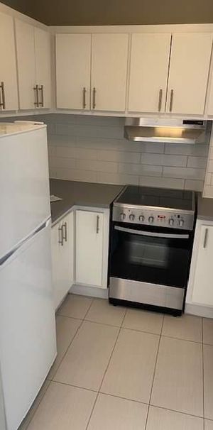 1 CH - 1 SDB - Longueuil - $1,515 /mo - Photo 1