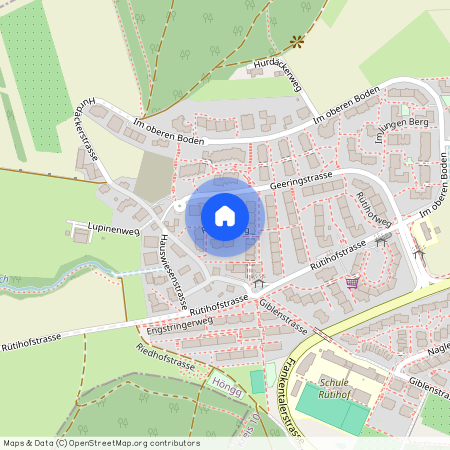 Geeringstr. 81, 8049 Zürich