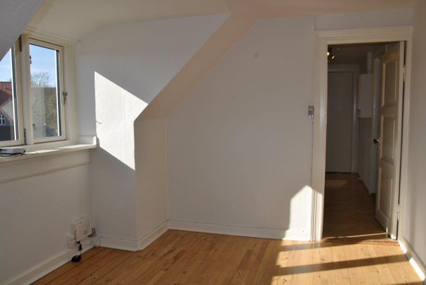 Dumpen - Photo 1