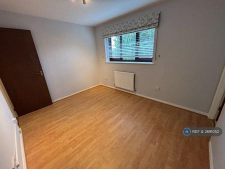 3 bedroom semi-detached house to rent - Photo 3