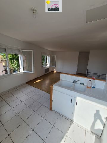 Location Appartement 3 pièces 52m² OLONZAC 34210 - Photo 4