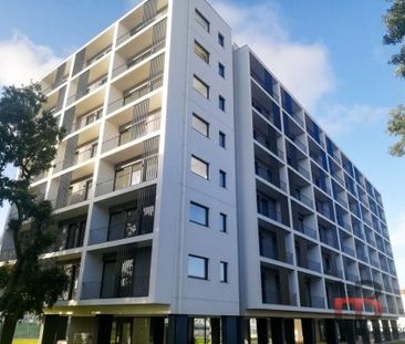 Apartamento T0 - Photo 4