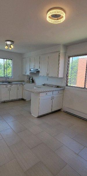 Grand 4 et demi ensoleillé à louer - Photo 1