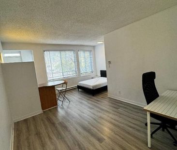GHETTO MCGILL- STUDIO RENOVÉ & MEUBLÉ- EMPLACEMENT EXCEPTIONNEL - Photo 3