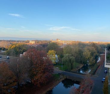 Te huur: Anna Blamansingel, 1102 SR Amsterdam Zuid-Oost - Photo 1