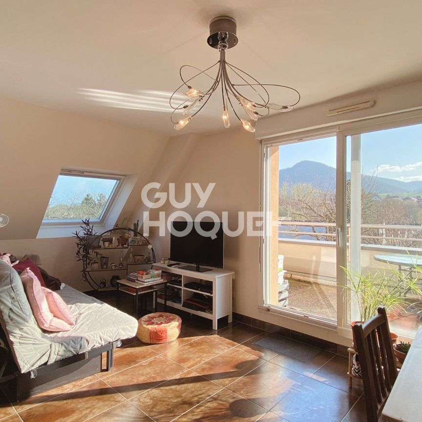 Appartement T3 avec terrasse et garage à louer à villé - Photo 1