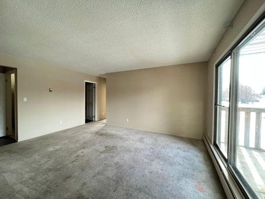 Pet Friendly 2 Bedroom 1 Bathroom Apartment - Photo 1