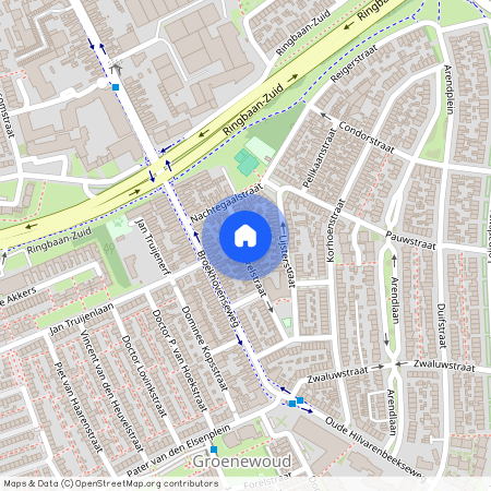 Vogeltjesbuurt West, 5022 BV, Merelstraat, Tilburg