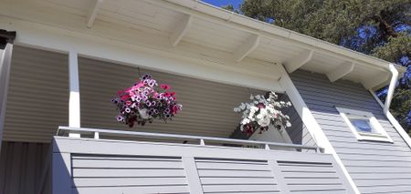 Bäckgatan, Jokkmokk - Foto 5