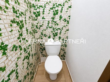 Pronájem bytu 2+1 53 m² - Fotografie 2