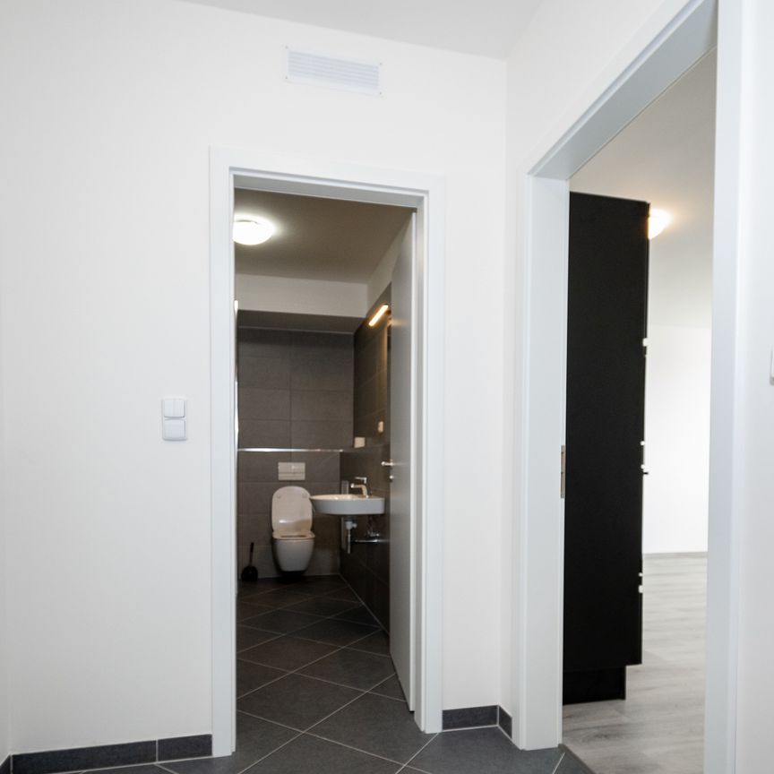 Apartment for rent, 2+kk - 1 bedroom, 53m - Photo 1