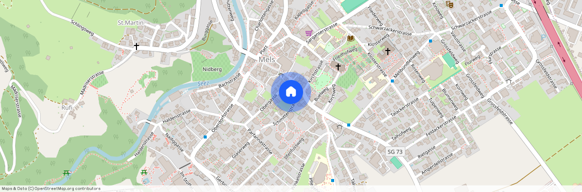8887, Mels, Schmittenstrasse, 4