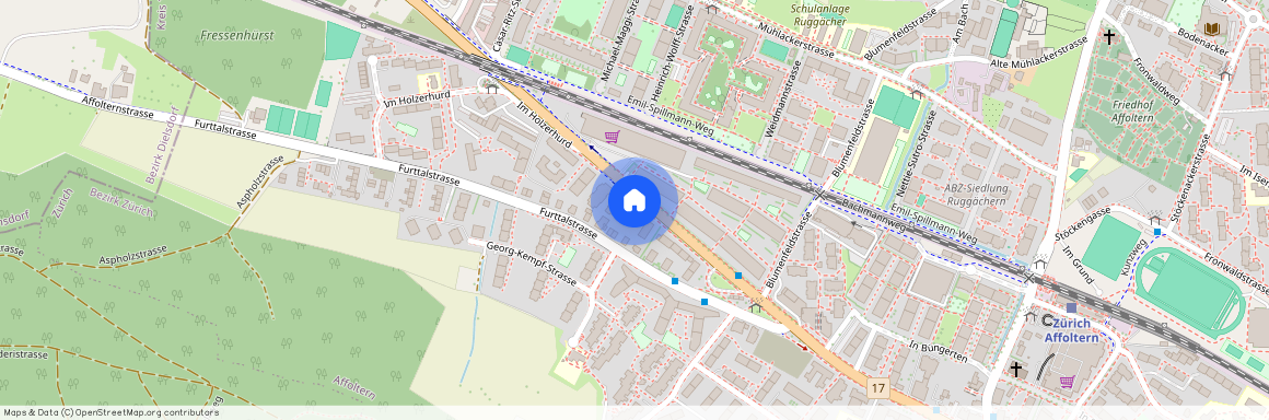 8046, Zürich, Wehntalerstrasse, 619