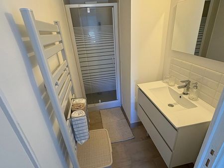 Appartement T2 Château-Landon à louer - Photo 5