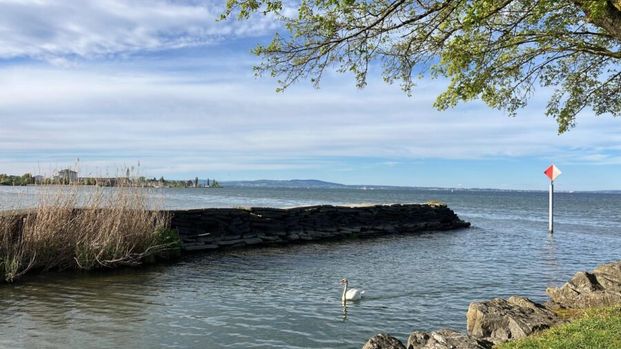 Grosszügiges Wohnen am Bodensee - Photo 1