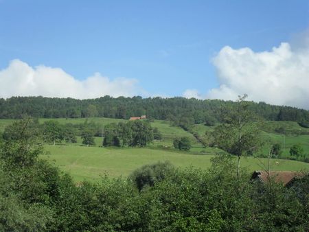 3.5 Zimmer, 107 m², 3. Stock - Photo 5