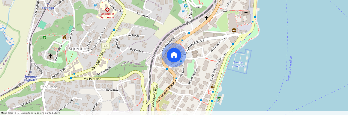 Via Antonio Adamini 26, 6900 Lugano, Svizzera