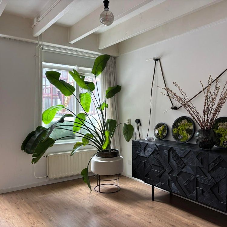 Ruim 3-kamerappartement in het centrum van Den Haag – per 5 juni beschikbaar! - Photo 1