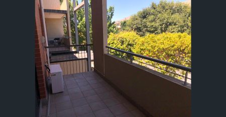 Bright Natural Light! - Photo 3